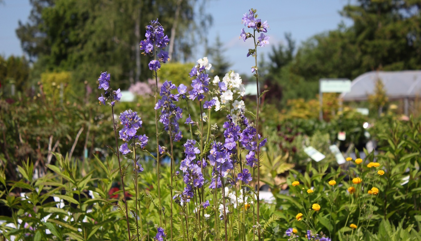 Grønne Hjem på tur