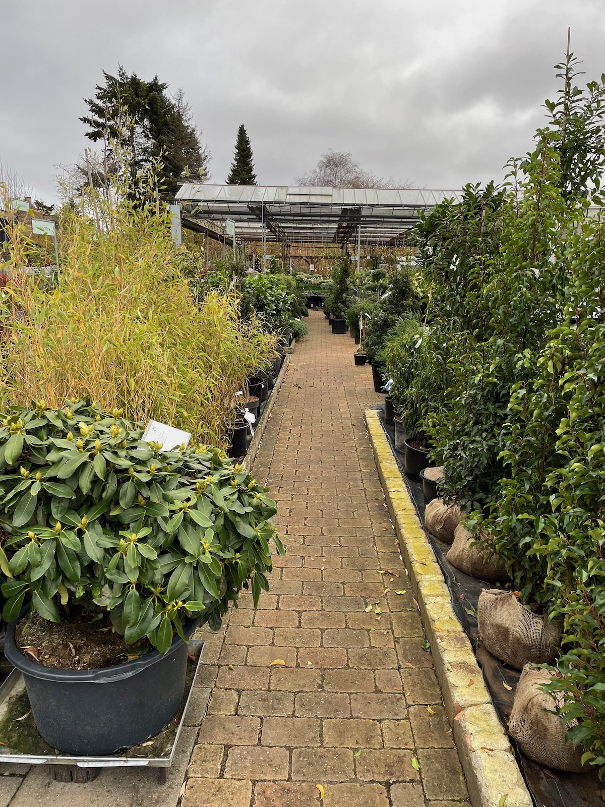 Billede fra Grønne Hjem Valby. Læs mere om Grønne Hjems åbningstider over jul og nytår her.